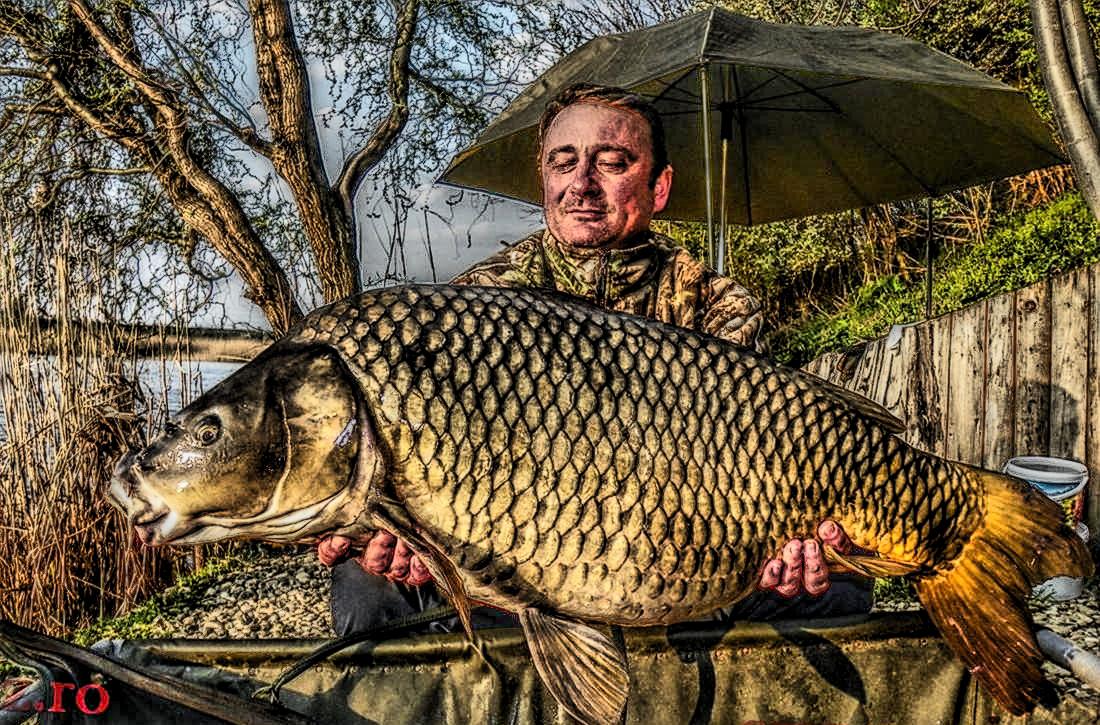 Cupa SBS (3) - 2013 - 1011638hdrmode2.JPG